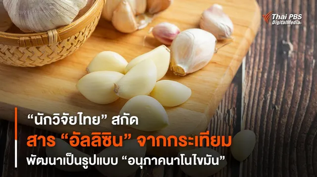 “นักวิจัยไทย” สกัดสาร “อัลลิซิน” จากกระเทียม พัฒนาเป็นรูปแบบ “อนุภาคนาโนไขมัน”