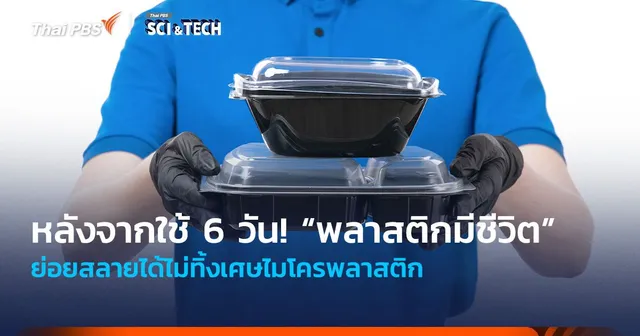 หลังจากใช้ 6 วัน! “พลาสติกมีชีวิต” ย่อยสลายได้ไม่ทิ้งเศษไมโครพลาสติก