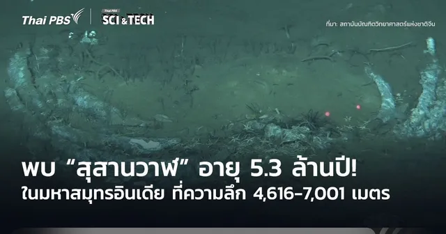 อายุอย่างน้อย 5.3 ล้านปี! พบสุสานวาฬในมหาสมุทรอินเดียที่ความลึก 7,000 เมตร