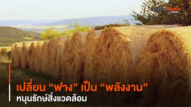 จีนเปลี่ยน “ฟาง” เป็น “พลังงาน” หนุนรักษ์สิ่งแวดล้อม