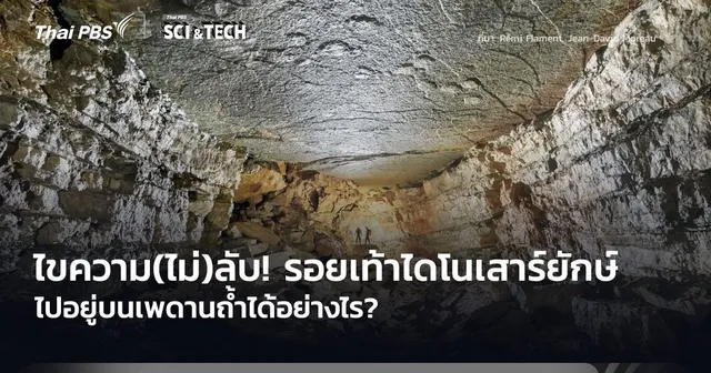 ไขความ(ไม่)ลับ! รอยเท้าไดโนเสาร์ยักษ์ ไปอยู่บนเพดานถ้ำได้อย่างไร?