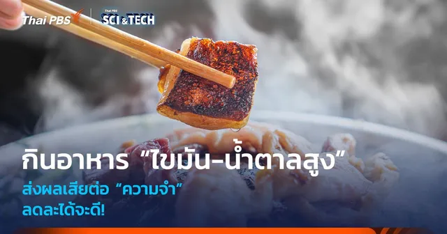 ลดละได้จะดี! กินอาหาร “ไขมัน-น้ำตาลสูง” ส่งผลเสียต่อ “ความจำ”
