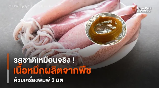 รสชาติเหมือนจริง ! “เนื้อหมึกผลิตจากพืช” ด้วยเครื่องพิมพ์ 3 มิติ