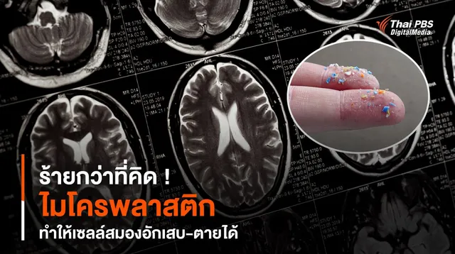 ร้ายกว่าที่คิด ! “ไมโครพลาสติก” ทำให้เซลล์สมองอักเสบ-ตายได้