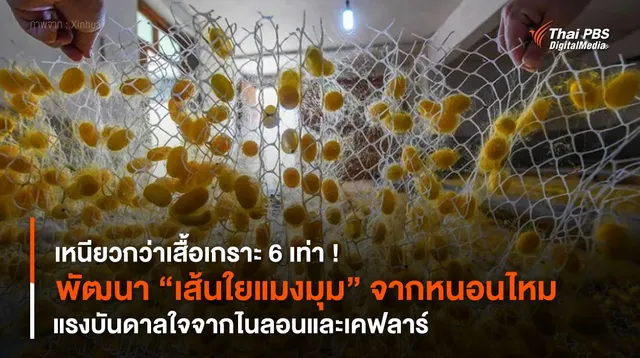 พัฒนา "เส้นใยแมงมุม" จากหนอนไหม เหนียวกว่าเสื้อเกราะ 6 เท่า !