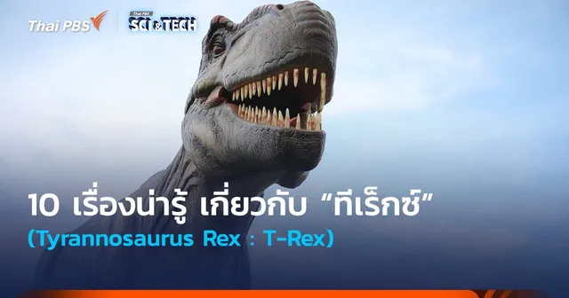 10 เรื่องน่ารู้ เกี่ยวกับ “ทีเร็กซ์” (Tyrannosaurus Rex)
