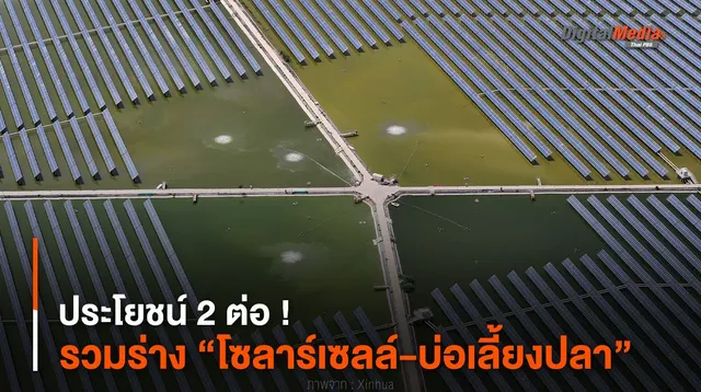 ประโยชน์ 2 ต่อ ! รวมร่าง “โซลาร์เซลล์-บ่อเลี้ยงปลา”