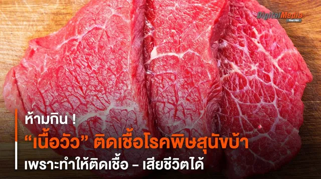วัวติดเชื้อโรคพิษสุนัขบ้า ห้าม “กินเนื้อ” ทำให้ติดเชื้อ - เสียชีวิตได้