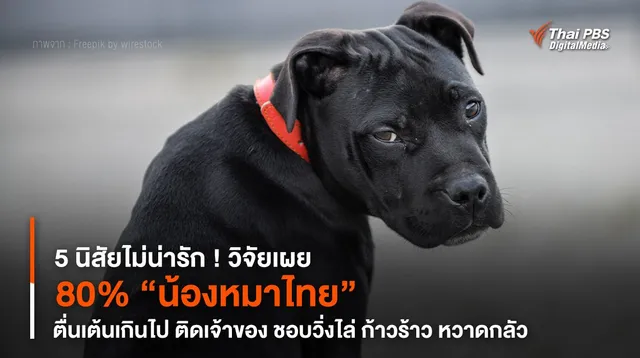 งานวิจัยเผย 80% “น้องหมาไทย” มี 5 นิสัยไม่น่ารัก !