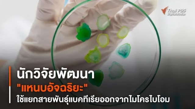 นักวิจัยพัฒนา "แหนบอัจฉริยะ" ใช้แยกสายพันธุ์แบคทีเรียออกจากไมโครไบโอม