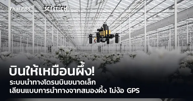 บินให้เหมือนผึ้ง! ระบบนำทางโดรนบินขนาดเล็ก เลียนแบบการนำทางจากสมองผึ้ง ไม่ง้อ GPS