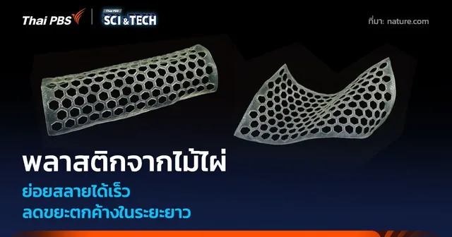 พลาสติกชีวภาพจากไม้ไผ่ ย่อยสลายได้เร็ว ลดขยะตกค้างในระยะยาว