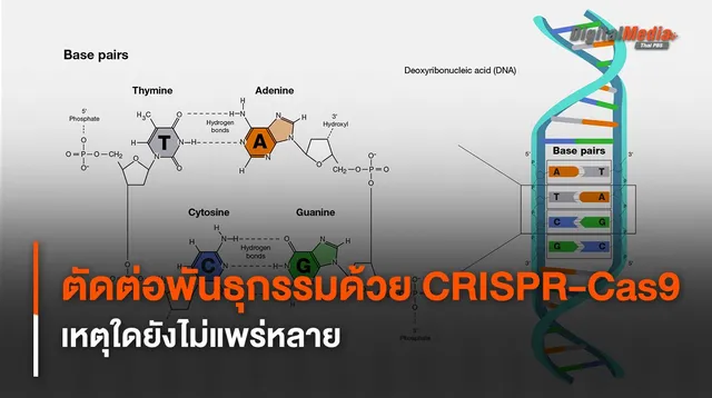 CRISPR-Cas9 นวัตกรรมตัดต่อพันธุกรรม เหตุใดไม่ถูกใช้แพร่หลาย