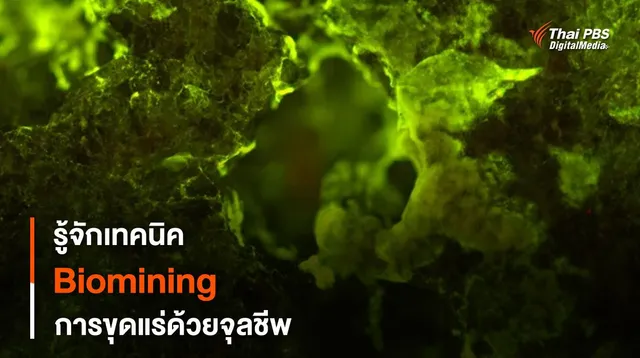 Biomining เทคนิคการ “สกัดแร่” ด้วยจุลชีพ