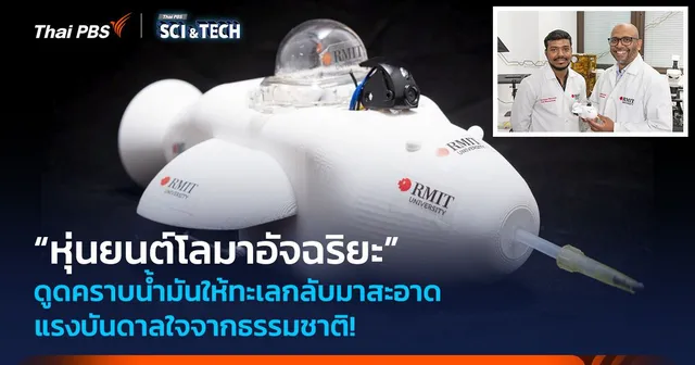 แรงบันดาลใจจากธรรมชาติ! “หุ่นยนต์โลมาอัจฉริยะ” ดูดคราบน้ำมันให้ทะเลกลับมาสะอาด