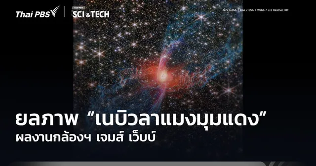 ชวนยลภาพ “เนบิวลาแมงมุมแดง” ผลงานกล้องฯ เจมส์ เว็บบ์