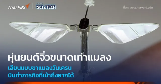 หุ่นยนต์จิ๋วขนาดเท่าแมลง เลียนแบบขาแมลงวันเครน บินลงจอดในพื้นที่เข้าถึงยากได้