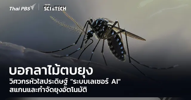 บอกลาไม้ตบยุง! วิศวกรหัวใสประดิษฐ์ "ระบบเลเซอร์ AI" สแกนและกำจัดยุงอัตโนมัติ