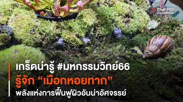เกร็ดน่ารู้ #มหกรรมวิทย์66 รู้จัก “เมือกหอยทาก” พลังแห่งการฟื้นฟูผิวอันน่าอัศจรรย์