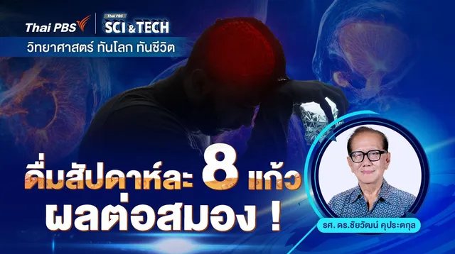 ดื่มสัปดาห์ละ 8 แก้ว : ผลต่อสมอง !