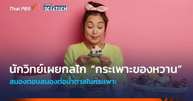 สมองตอบสนองน้ำตาลในกระเพาะ! เผยกลไก "กระเพาะของหวาน" ที่ทำให้อยากของหวาน