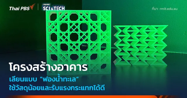 โครงสร้างตึกเลียนแบบ "ฟองน้ำทะเล" ใช้วัสดุน้อยและรับแรงกระแทกได้ดี