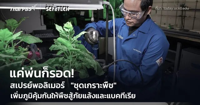 แค่พ่นก็รอด! สเปรย์พอลิเมอร์  "ชุดเกราะพืช"  ช่วยพืชสู้ภัยแล้งและแบคทีเรีย