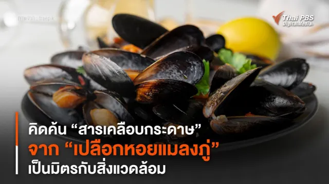 คิดค้น “สารเคลือบกระดาษ” จาก “เปลือกหอยแมลงภู่” เป็นมิตรกับสิ่งแวดล้อม