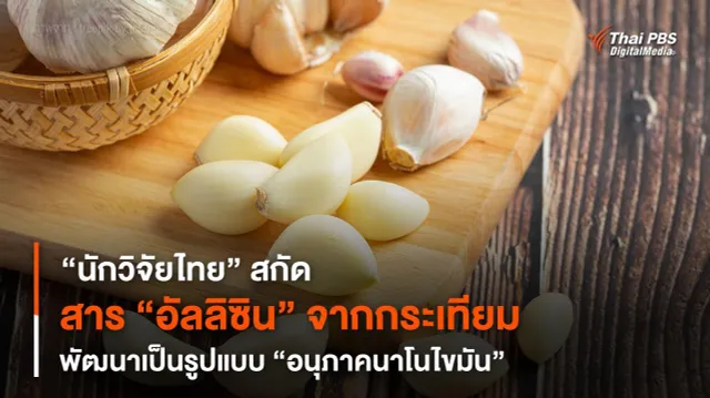 “นักวิจัยไทย” สกัดสาร “อัลลิซิน” จากกระเทียม พัฒนาเป็นรูปแบบ “อนุภาคนาโนไขมัน”