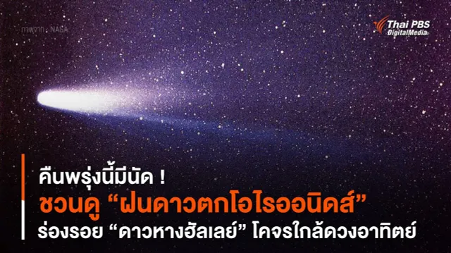 คืนพรุ่งนี้มีนัด ! ชวนดู “ฝนดาวตกโอไรออนิดส์” ร่องรอย “ดาวหางฮัลเลย์”