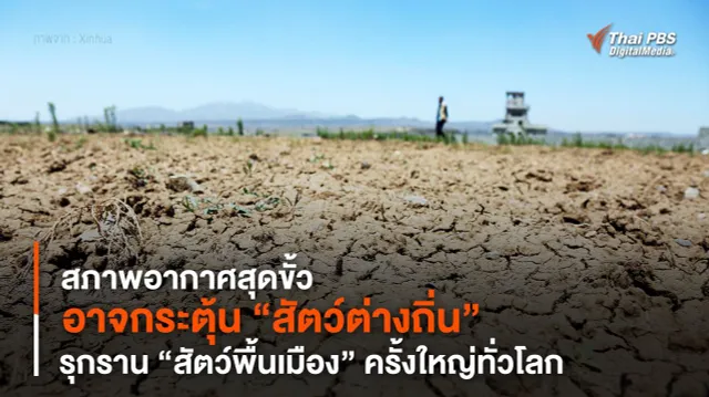 “สภาพอากาศสุดขั้ว” อาจกระตุ้น “สัตว์ต่างถิ่น” รุกราน “สัตว์พื้นเมือง” ครั้งใหญ่ทั่วโลก