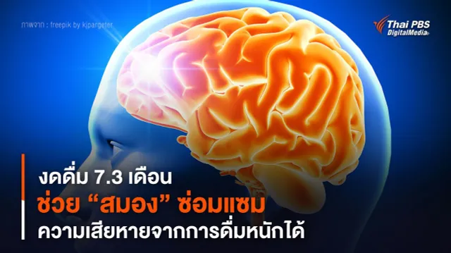 งดดื่ม 7.3 เดือน ช่วย “สมอง” ซ่อมแซมความเสียหายจากการดื่มหนักได้