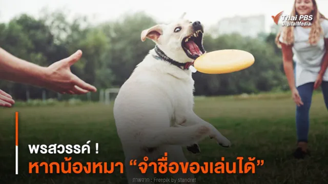 พรสวรรค์ ! งานวิจัยเผย “น้องหมา” บางตัว “จำชื่อของเล่นได้”