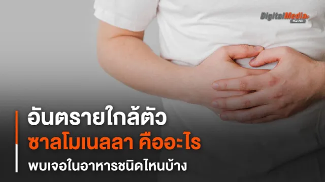 เตือนคนชอบกินไข่ดิบ สัตว์ปีก อาหารไม่สุก ระวังติดเชื้อซาลโมเนลลา