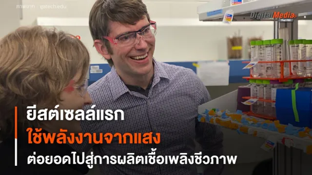 ยีสต์เซลล์แรกของโลกใช้พลังงานจากแสง ต่อยอดไปสู่การผลิตเชื้อเพลิงชีวภาพ