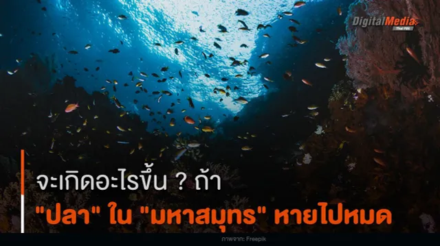จะเกิดอะไรขึ้น ? ถ้า "ปลา" ใน "มหาสมุทร" หายไปหมด