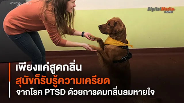 เพียงแค่สูดกลิ่น สุนัขก็รับรู้ความเครียดจากโรค PTSD ด้วยการดมกลิ่นลมหายใจ