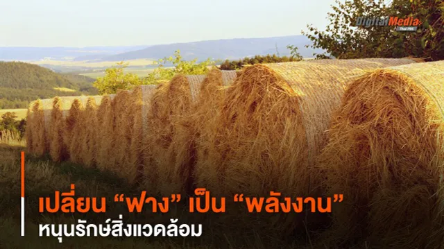 จีนเปลี่ยน “ฟาง” เป็น “พลังงาน” หนุนรักษ์สิ่งแวดล้อม