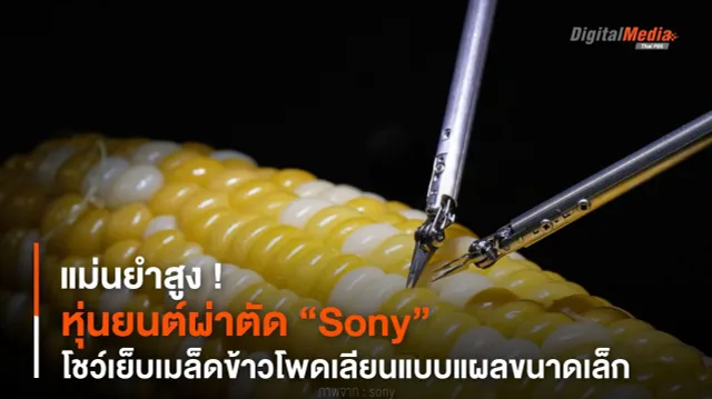 แม่นยำสูง ! หุ่นยนต์ผ่าตัด “Sony” โชว์เย็บเมล็ดข้าวโพดเลียนแบบแผลขนาดเล็ก