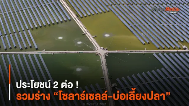 ประโยชน์ 2 ต่อ ! รวมร่าง “โซลาร์เซลล์-บ่อเลี้ยงปลา”