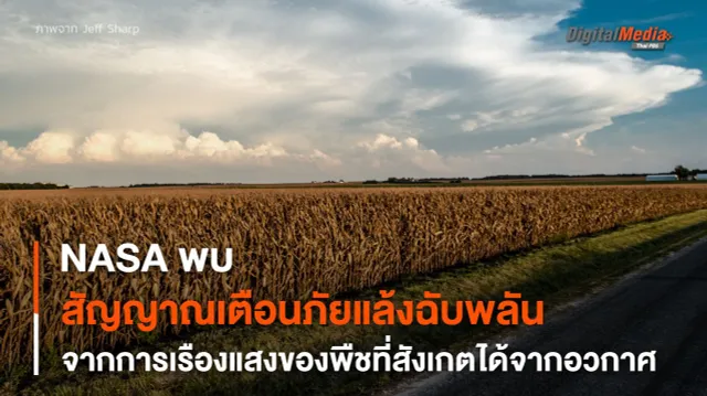 ผลผลิตเกษตรเพิ่มขึ้นรวดเร็ว อาจบอกถึง “ภาวะภัยแล้งฉับพลัน” กำลังมาเยือน
