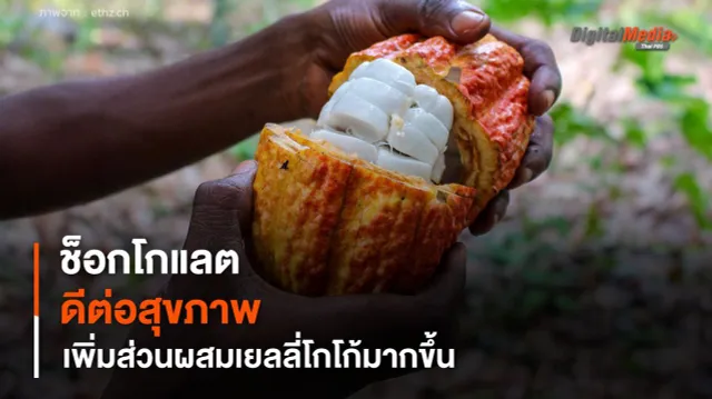 นักวิจัยสวิสคิดค้น "ช็อกโกแลต" ดีต่อสุขภาพ เพิ่มส่วนผสมเยลลี่โกโก้มากขึ้น