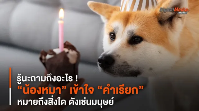 รู้นะถามถึงอะไร ! “น้องหมา” เข้าใจ “คำเรียก” หมายถึงสิ่งใด ดังเช่นมนุษย์