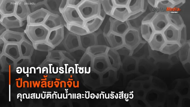 นักวิจัยสร้างแบบจำลองปีกเพลี้ยจักจั่น ทดสอบความสามารถในการป้องกันรังสียูวี