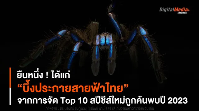 ยืนหนึ่ง ! ได้แก่ “บึ้งประกายสายฟ้าไทย” จากการจัด Top 10 สปีชีส์ใหม่ถูกค้นพบปี 2023