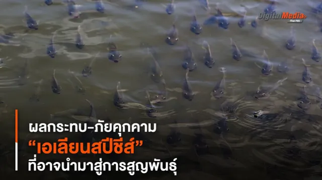 “เอเลียนสปีชีส์” ผลกระทบ-ภัยคุกคามที่อาจนำมาสู่การสูญพันธุ์