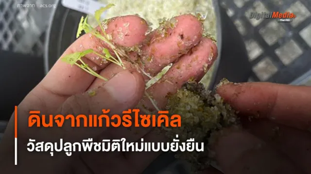 ดินจากแก้วรีไซเคิล นวัตกรรมวัสดุปลูกพืชมิติใหม่ เพื่อการเกษตรแบบยั่งยืน