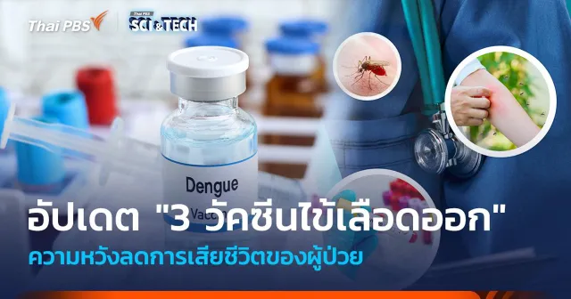 อัปเดต 3 วัคซีนไข้เลือดออก ความหวังลดการเสียชีวิตของผู้ป่วย