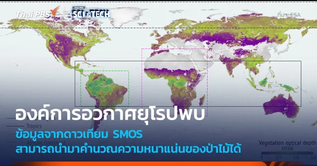 ข้อมูลดาวเทียม SMOS ของ ESA นำมาใช้ติดตามการดูดซับคาร์บอนของป่าไม้ได้