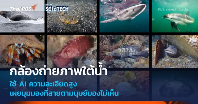 กล้องถ่ายภาพใต้น้ำ AI ความละเอียดสูง เผยมุมมองที่สายตามนุษย์มองไม่เห็น